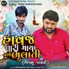 About Havaj Tari Maya Nathi Bhulati (Vishnu Paldi) Song